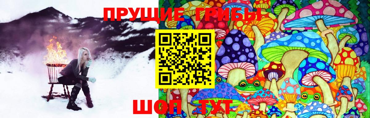 Галлюциногенные грибы Psilocybine cubensis Новотроицк