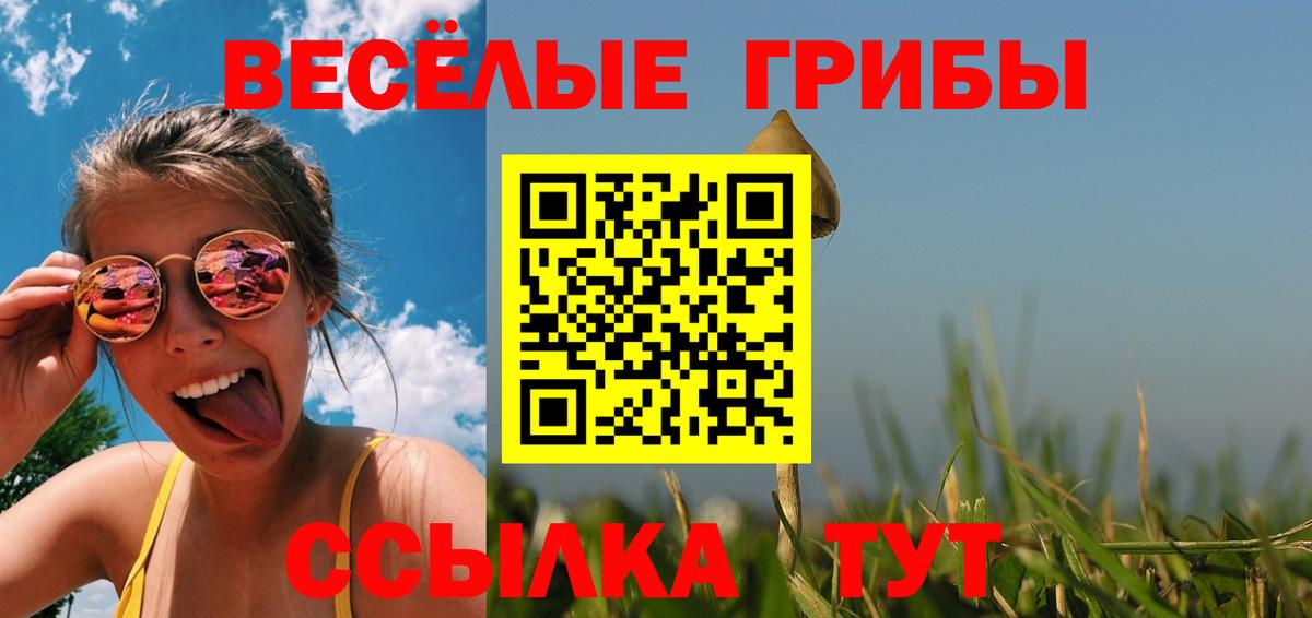 Новотроицк  где купить наркоту  Вход с VPN  Галлюциногенные грибы MAGIC MUSHROOMS 